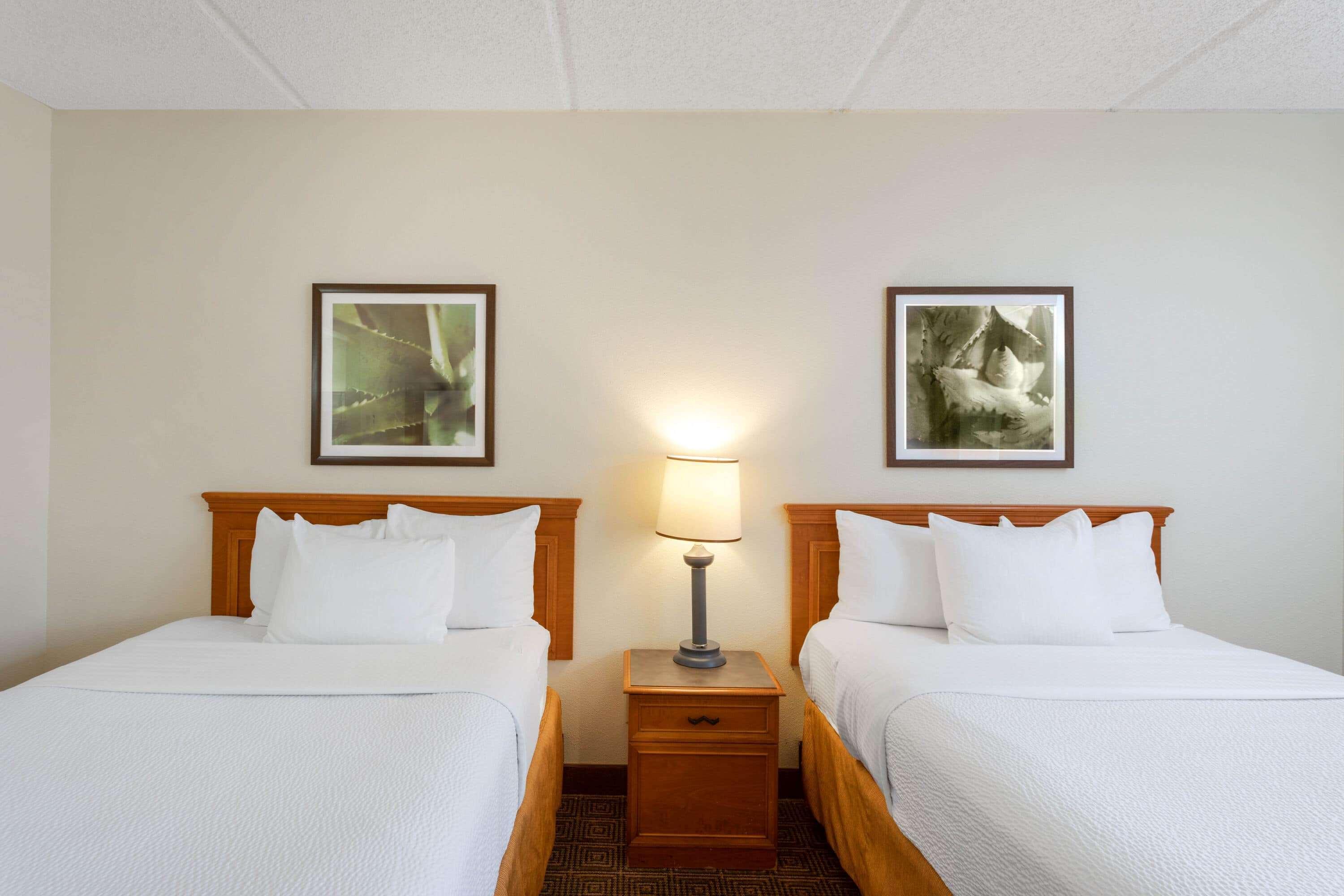 La Quinta Inn & Suites By Wyndham Jacksonville Mandarin Buitenkant foto