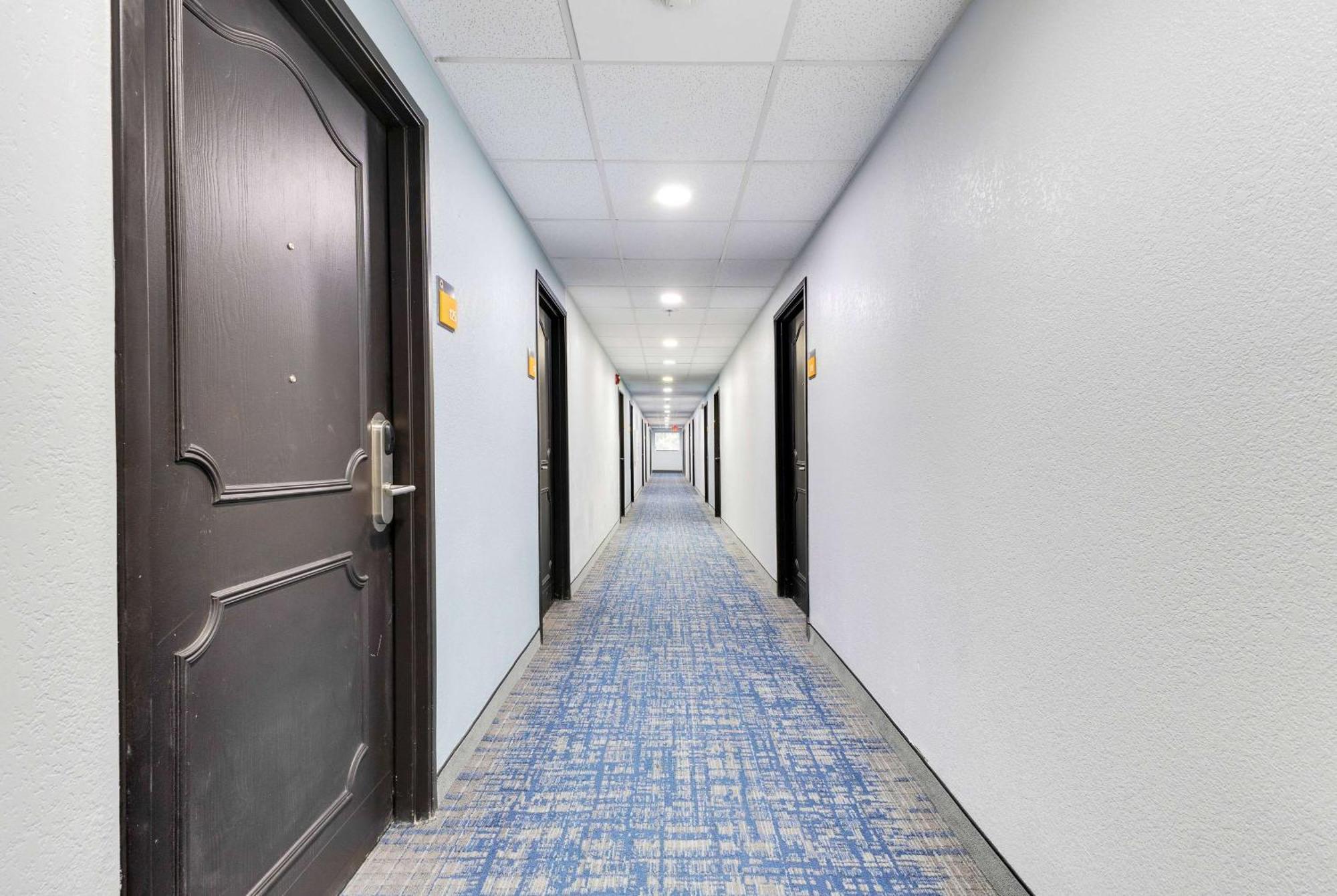 La Quinta Inn & Suites By Wyndham Jacksonville Mandarin Buitenkant foto